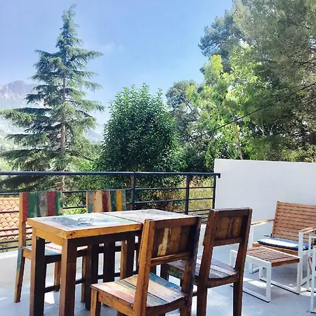 Apartment L'icone